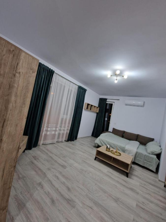 Apartamento Apartament Modern Cu O Camera Timisoara Exterior foto